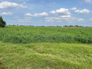 Villa Solarola Country House