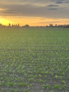 Villa Solarola Country House