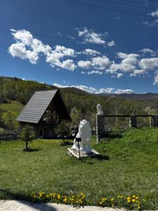 Camping, Picnic Merișor Bănița Hunedoara