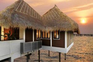 3Bed Room Palm Tree Water Villa 111 Holidays