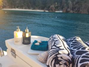 Private Charter - Ocean Free