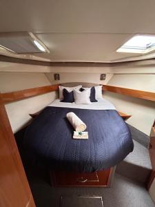Private Charter - Ocean Free