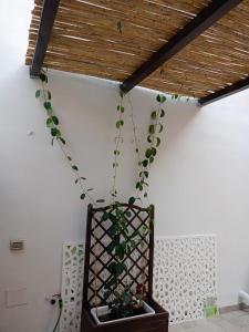 Stampace House img32