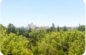 Escapada Rural con Piscina y Montaña
