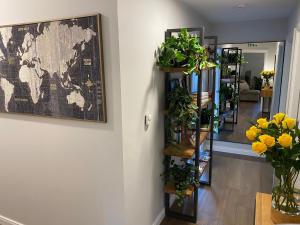 travelNess Apartment