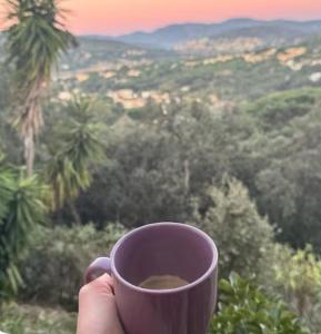 Studio sémaphore piscine gratuite juillet et août parking privé