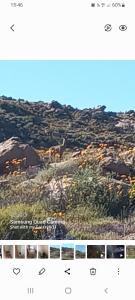 Mesklip Caravan Park