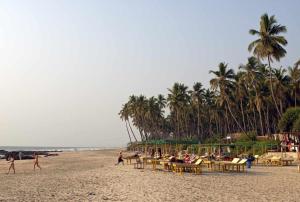 Hidden Haven, Eden in India ! Quietest stay in Goa
