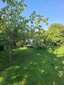 P7 Gardens - Close to station and nature