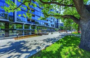 Plush 221 Midnight Braddon 2bedroom 2bathroom Free parking Free wifi