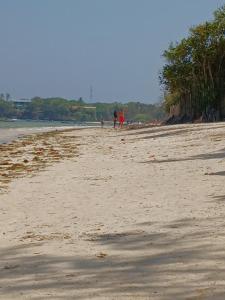 ENGLISH POINT HOMESTAYs