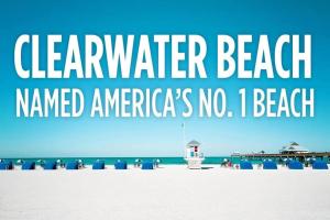 Renovated Seminole Heights Beauty