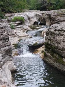 საოჯახო კოტეჯი ფშუქები