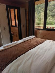 საოჯახო კოტეჯი ფშუქები