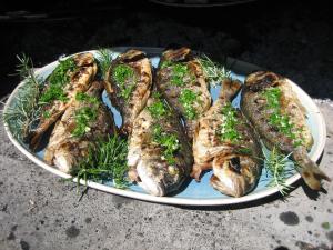 Apartments MEDITERRANEO