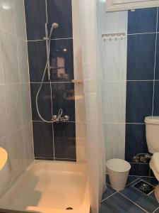 Luxury Apartment Ritz Carlton