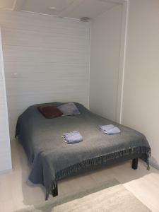 Enonkoski asunto mukavuuksilla keskustassa