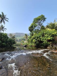 Mamalakandam Green Hill Stay in Diya Homesay