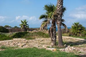 Ground floor apartment on the seafront with pool