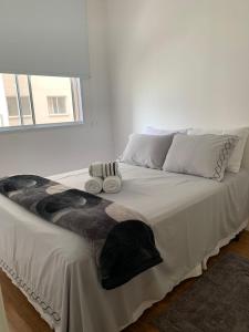 Apê Chácara Santo Antônio