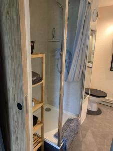 Studio touristes curistes , jardin terrasse