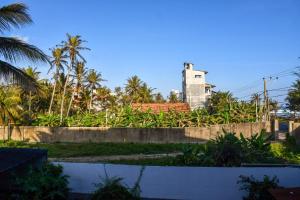 Cheeky Monkey Surf Camp