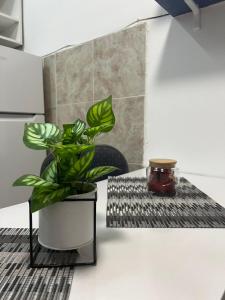 Comfort Corner