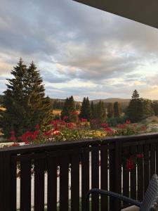 Poiana Brașov - apartment - chalet