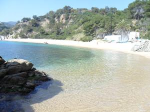 Apartamento soleado a 300 mts de la playa