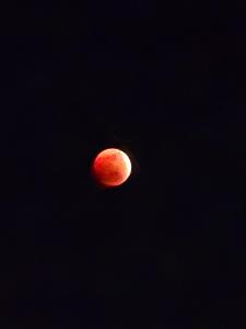 Sprunger Retreat - tulia homes