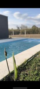 Las Magnolias CABAÑAS