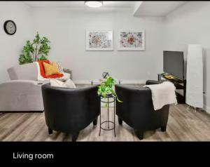 Brand new suite with parking pad at the back