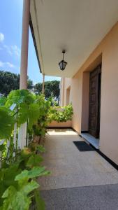 Grand appartement Vescovato entre mer et montagne