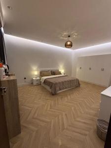 شقة بغرفة نوم ومجلس