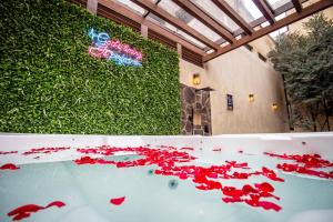 San Miguel de Allende Vacation