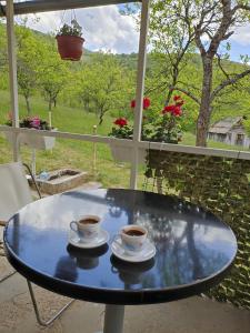 Bridge View Tara -House Lekovic