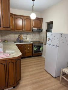 Armels Apartment in Tirana-center