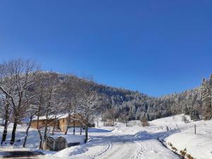 Vue sur la montagne au centre de Bussang