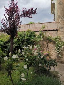 Appartamento Il Giardinetto