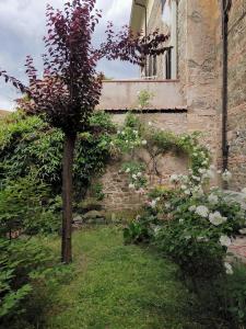 Appartamento Il Giardinetto