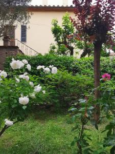 Appartamento Il Giardinetto