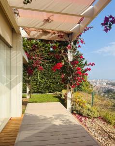 Luxury House on the Cliff