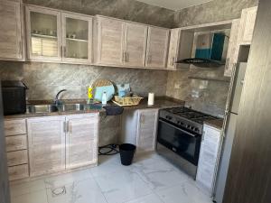 New Rooftop 3 bedroom furnished apartment- Super deluxe