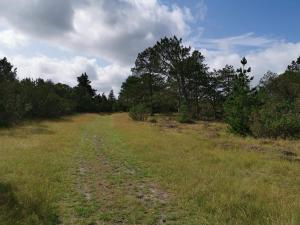 5 person holiday home in Nørre Nebel
