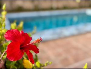 Appartement avec balcon & vue sur mer & Piscine