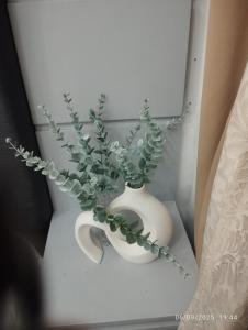 HAPpycation Portocondo