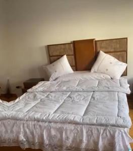 شقه بالمعادي علي النيل