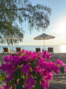 Jaya Beach Bungalows