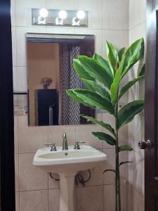 El Santuario Ecolodge