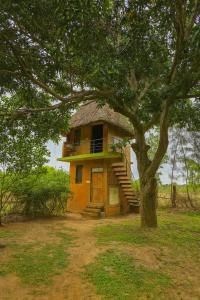 Chapters Auroville Farmstay